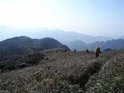 По източния склон на връх Чуанди Динг, панорама - At the eastern slope of Chuandi Ding peak, view
