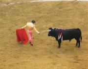 Corrida de toros (Alicante)