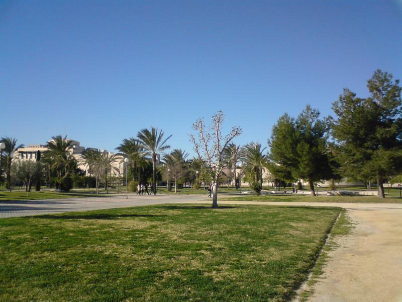 DSC00596