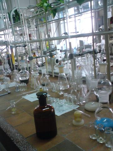 lab