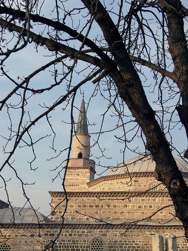 P1030617_1.jpg