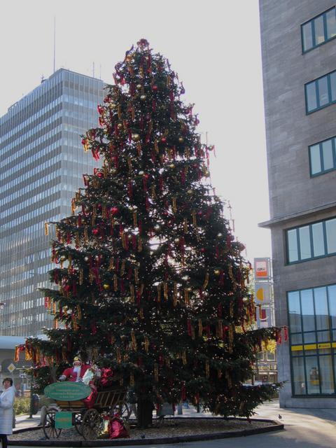 the Christmas tree