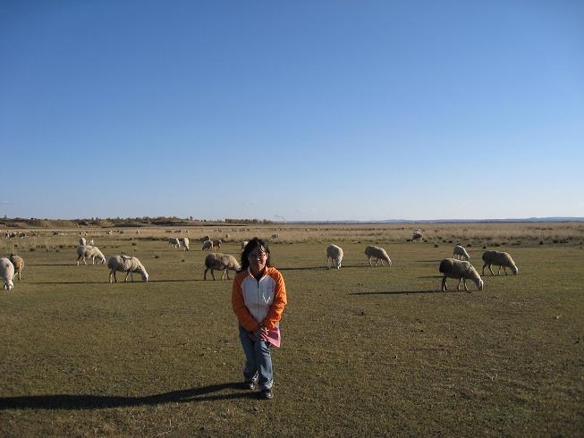 Beijing-Zhangbei steppe2007-30