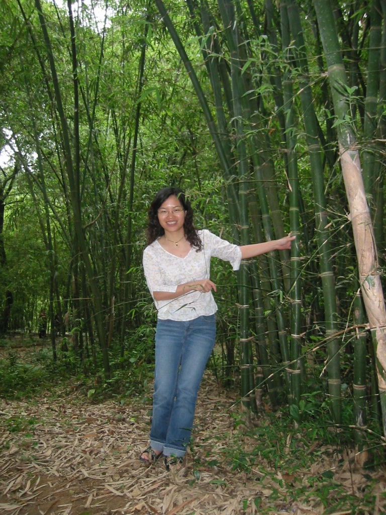 Yingxi- bamboo forest-YingYing-01