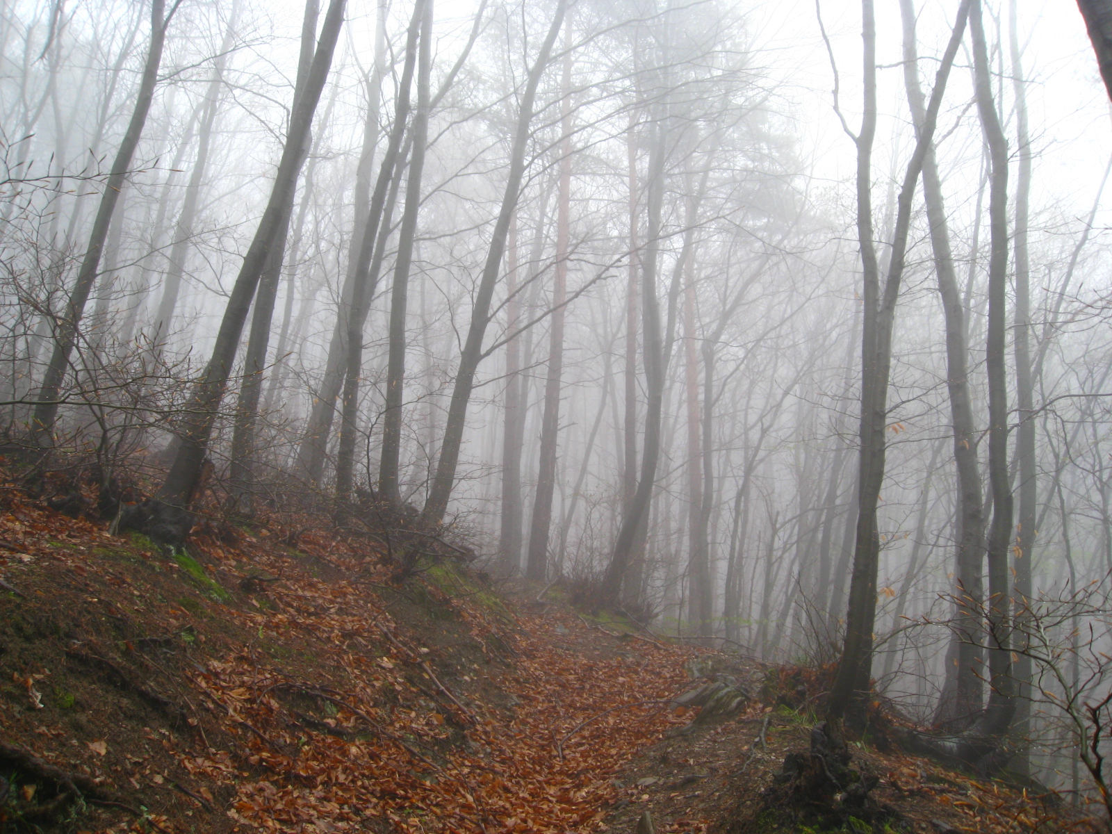 Galabovo-Ruen-Kuklen 005