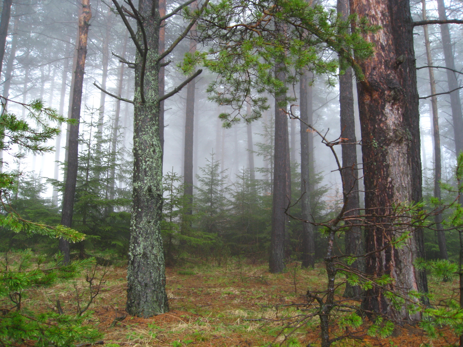 Galabovo-Ruen-Kuklen 012