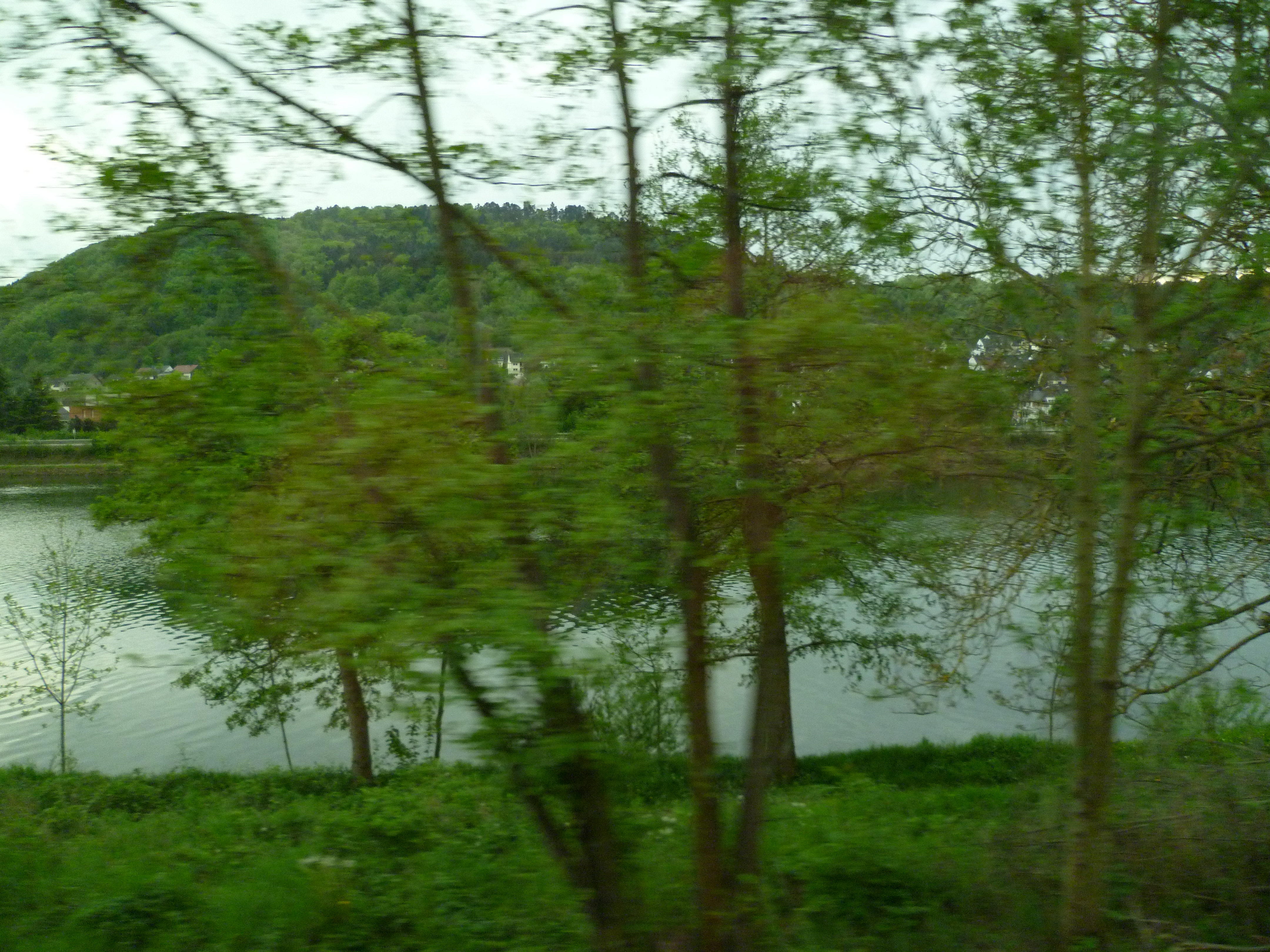 P1000377
