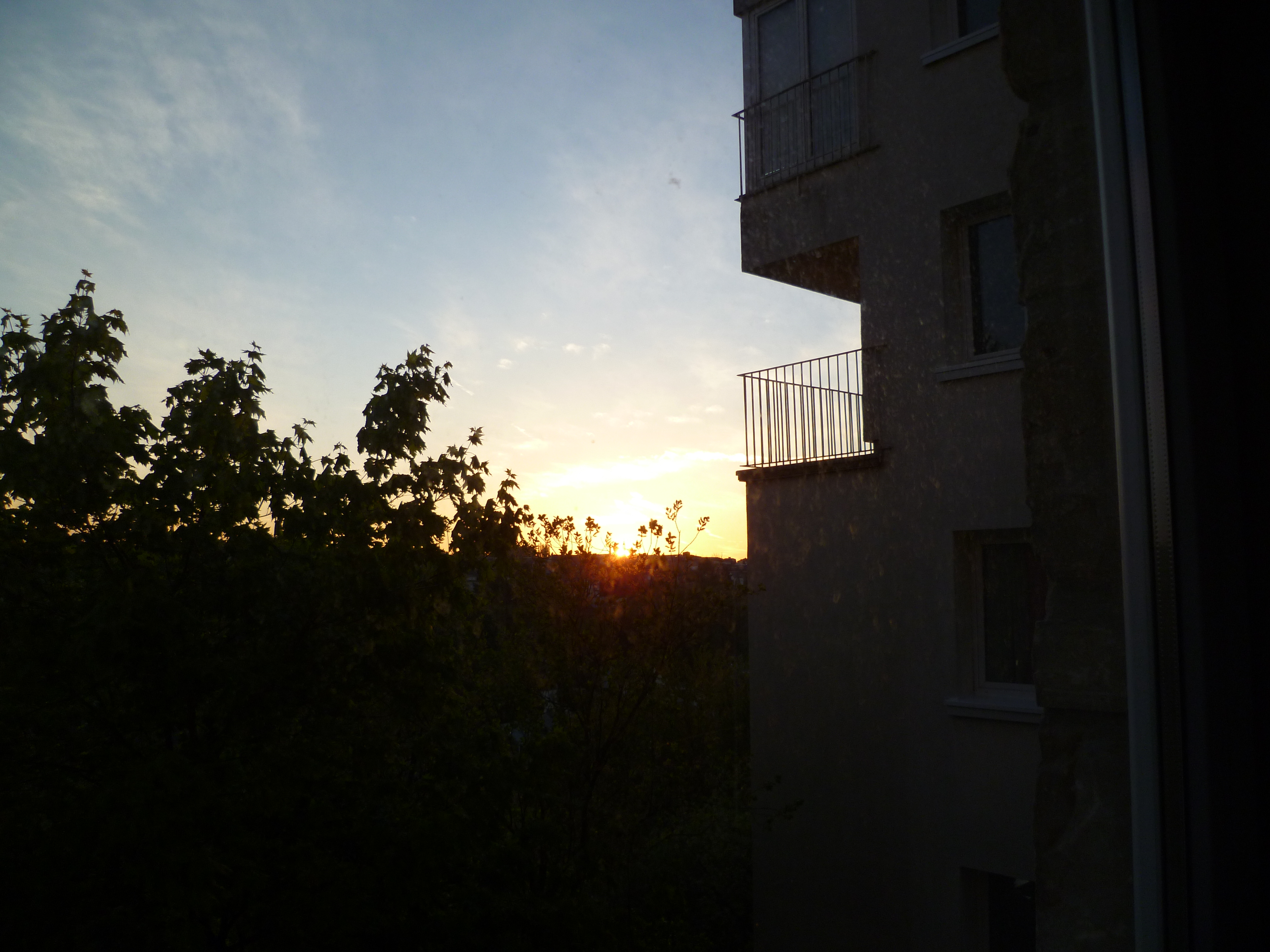 P1000411