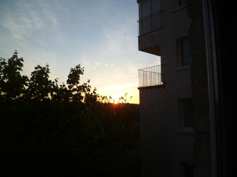 P1000411