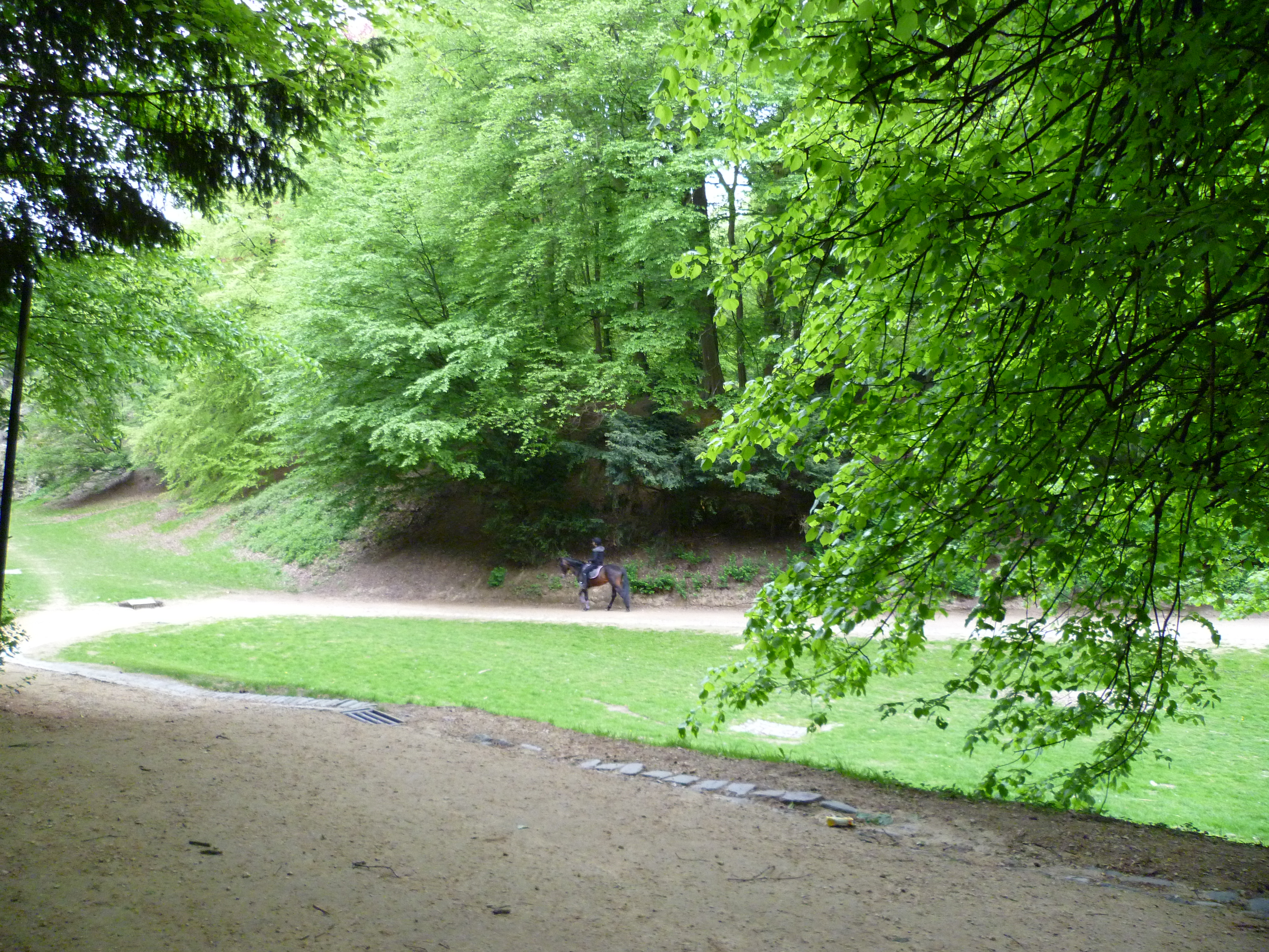 P1000426