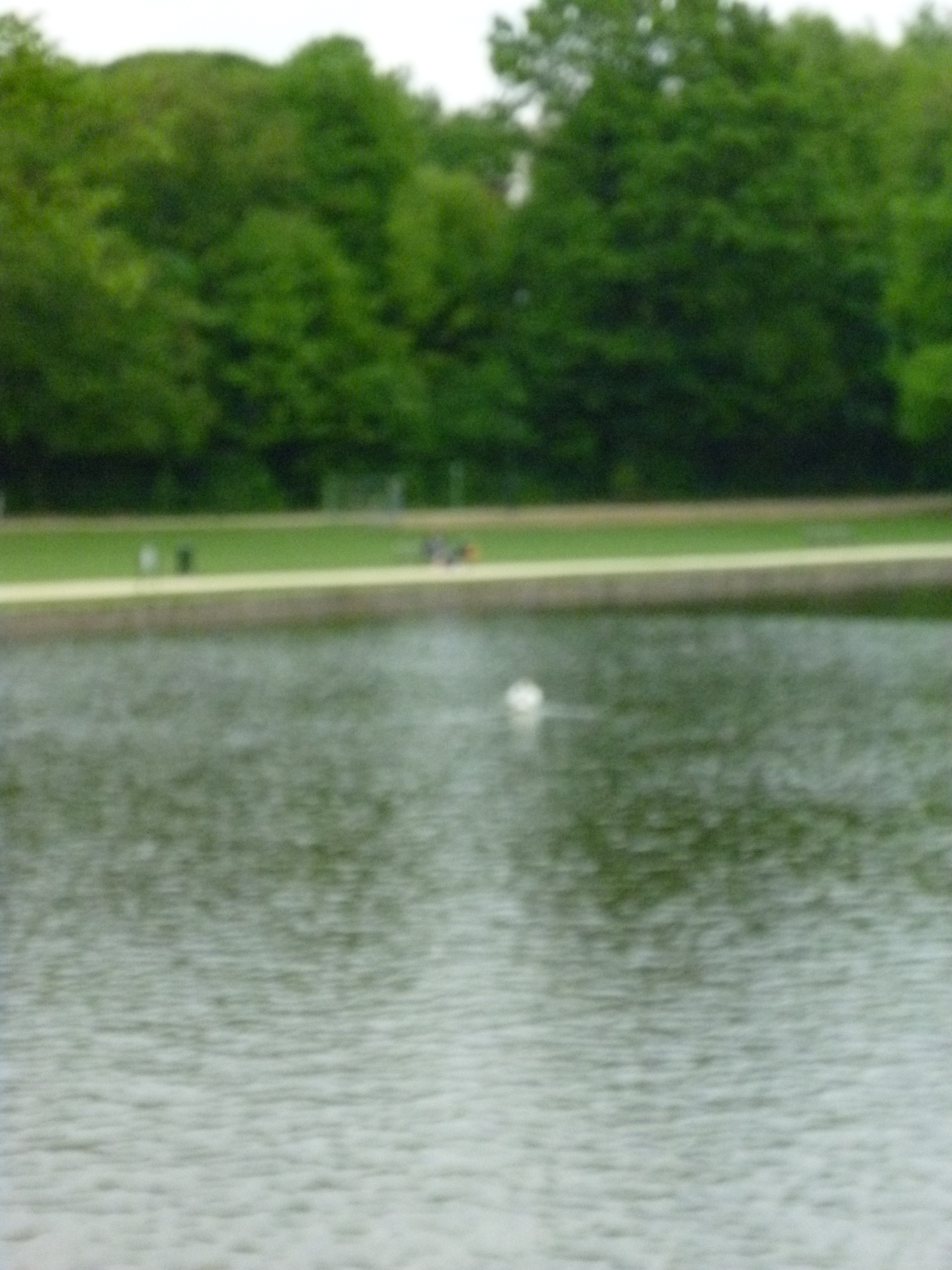 P1000431