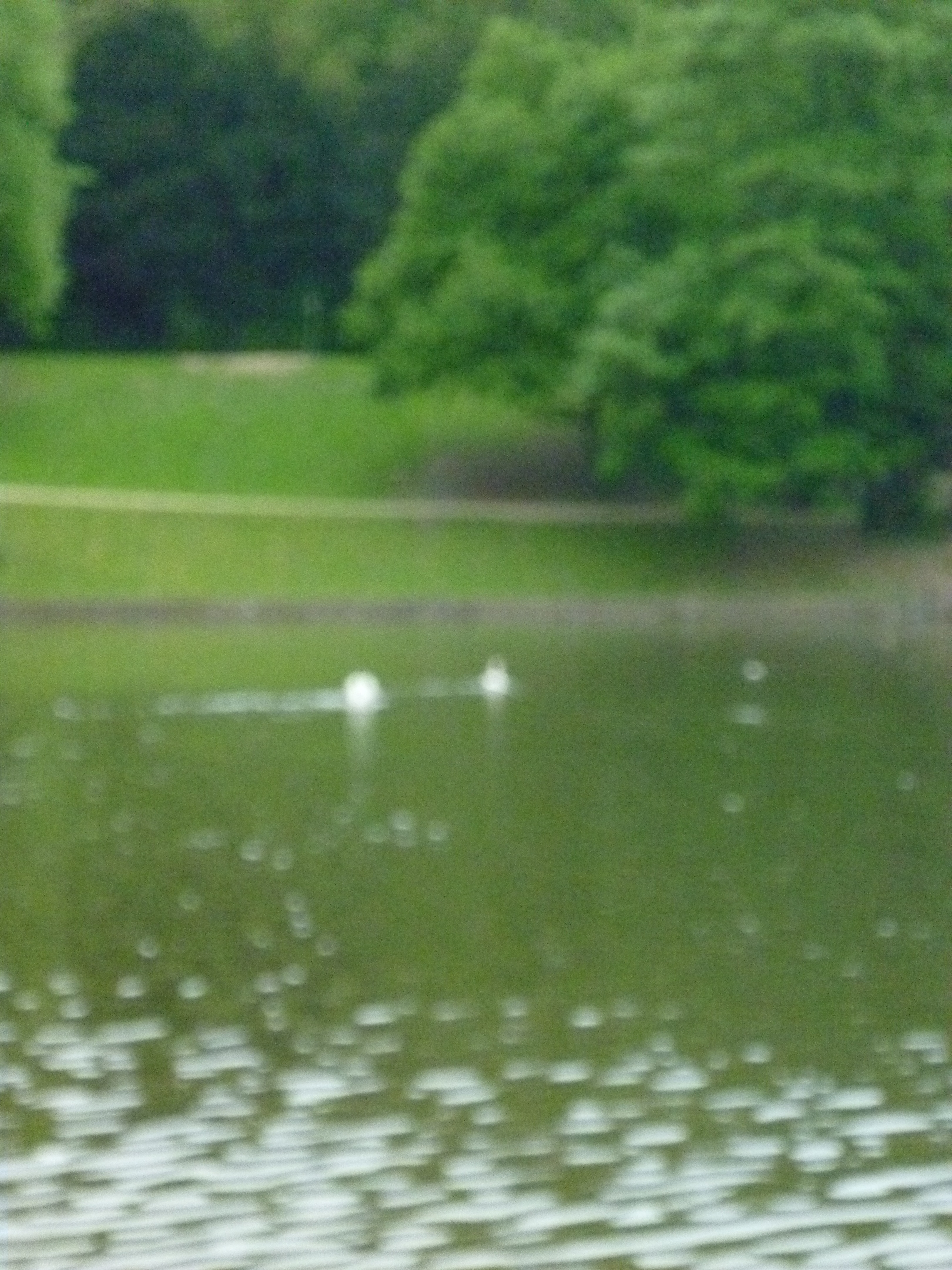 P1000435