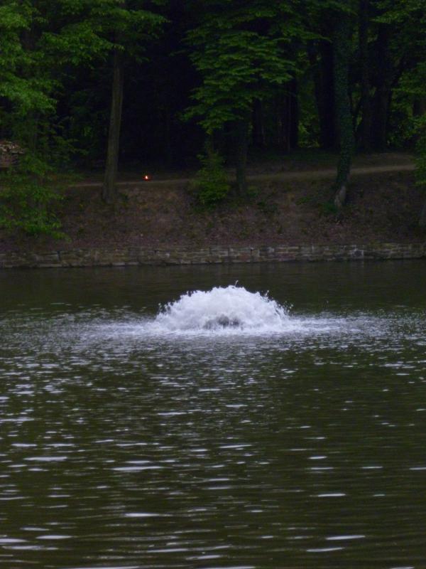 P1000437