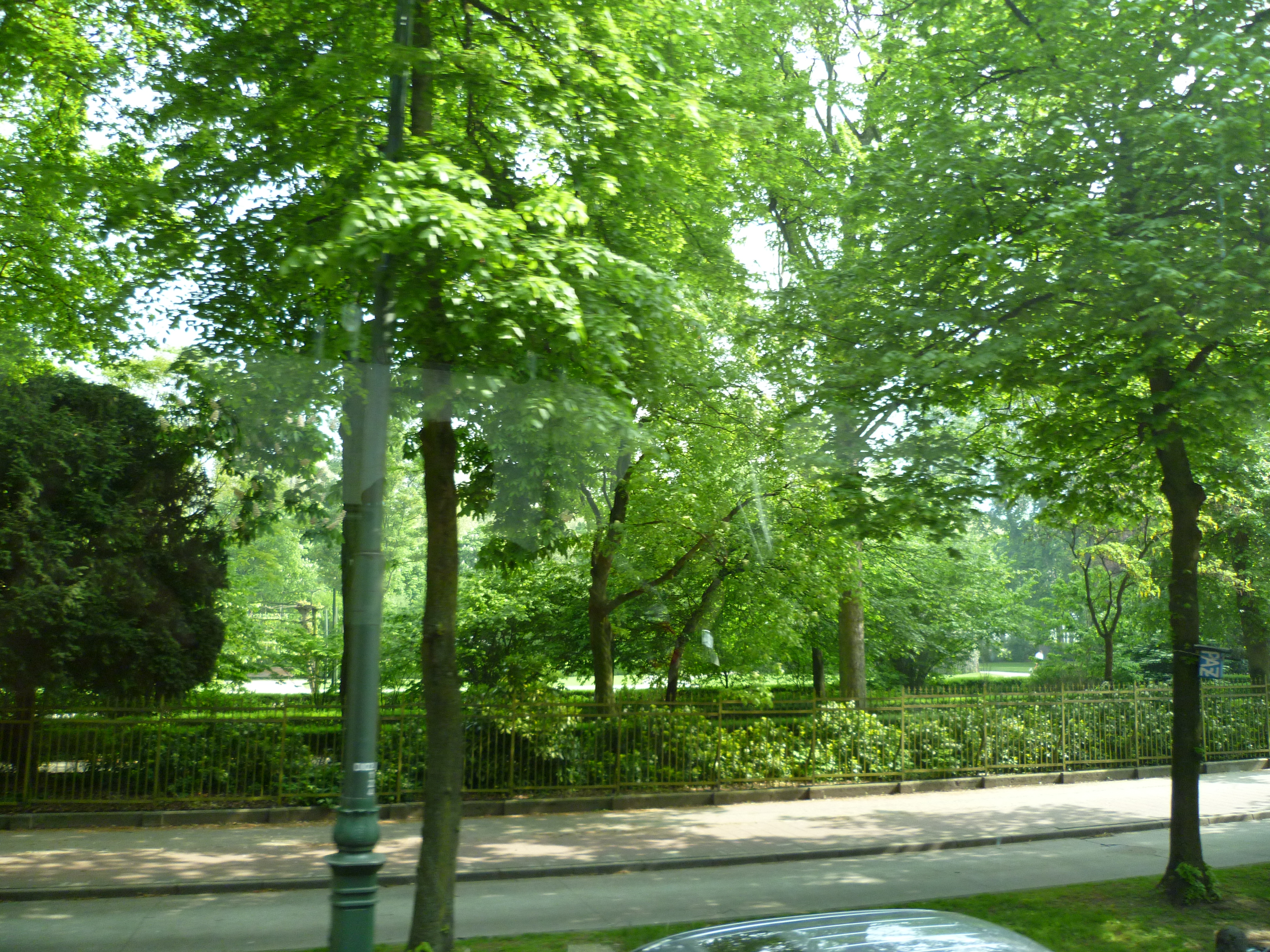 P1000452