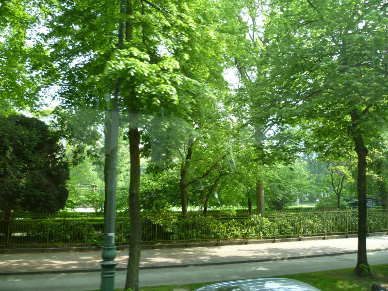 P1000452