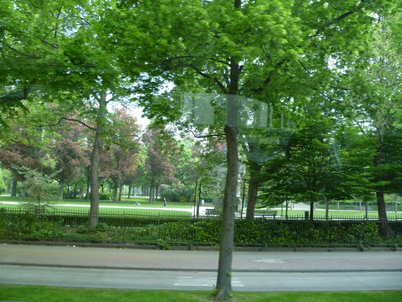 P1000453