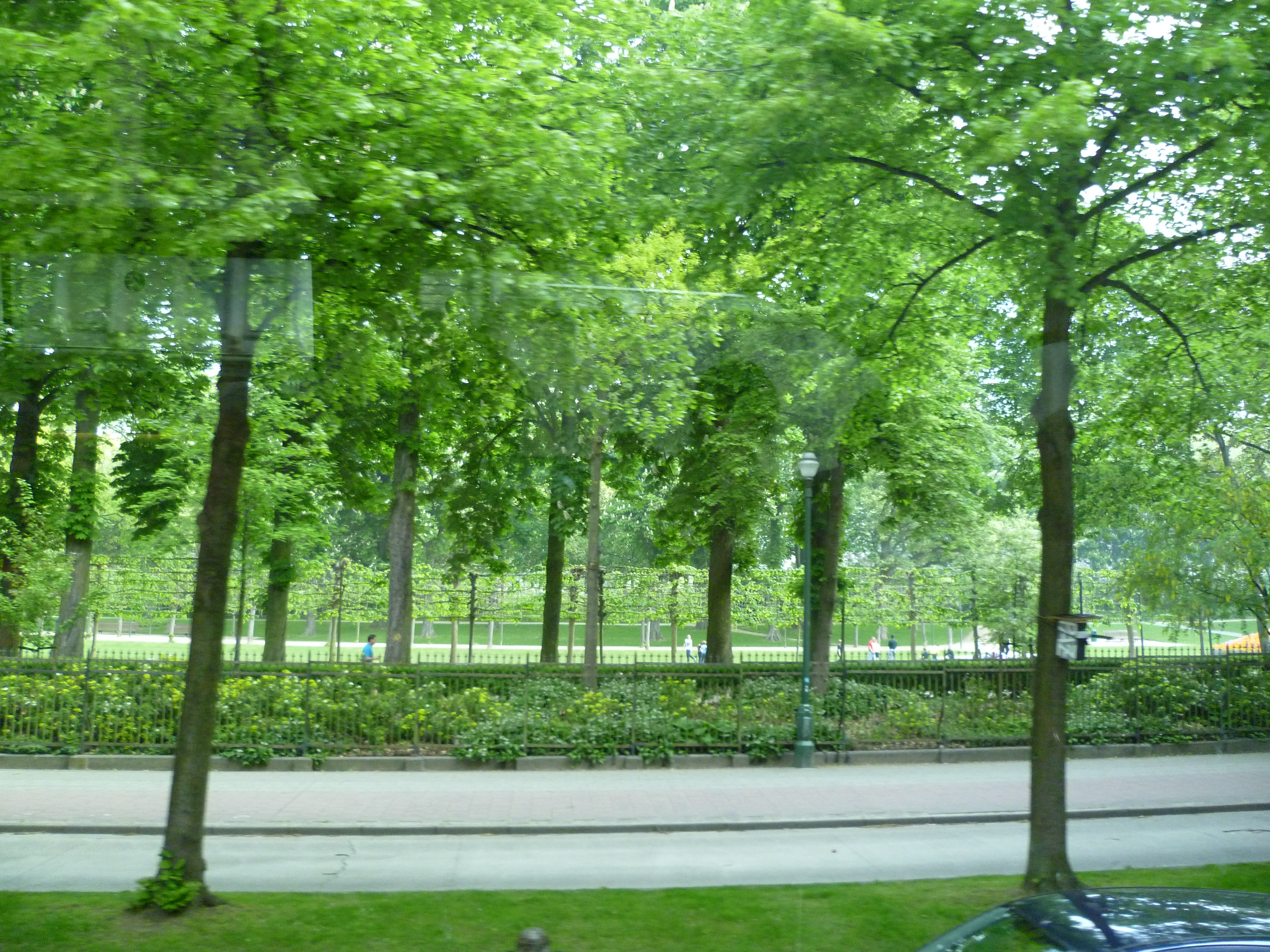 P1000454