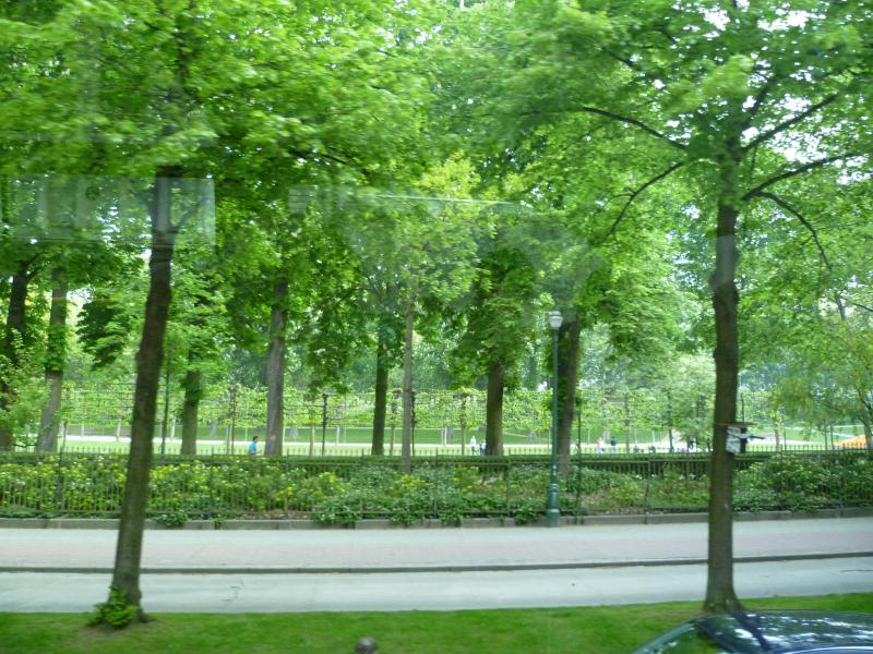 P1000454