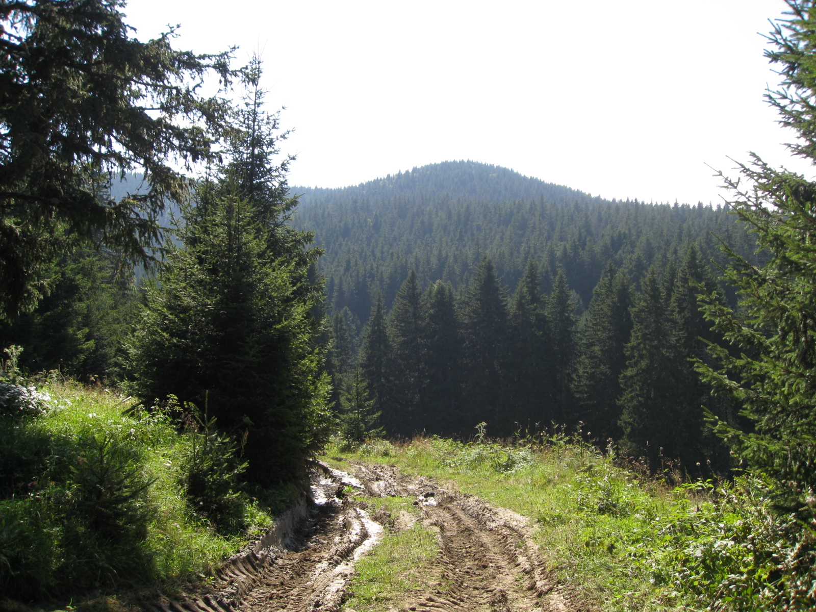 Krichim-Varhovrah-Lilkovo 038