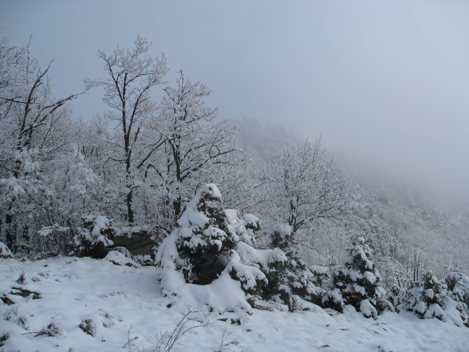 Dobralak-Yugovsko hanche 021
