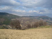 Krastatica-2011-03-27-29 039