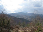 Krastatica-2011-03-27-29 023