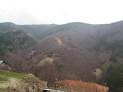 Krastatica-2011-03-27-29 043