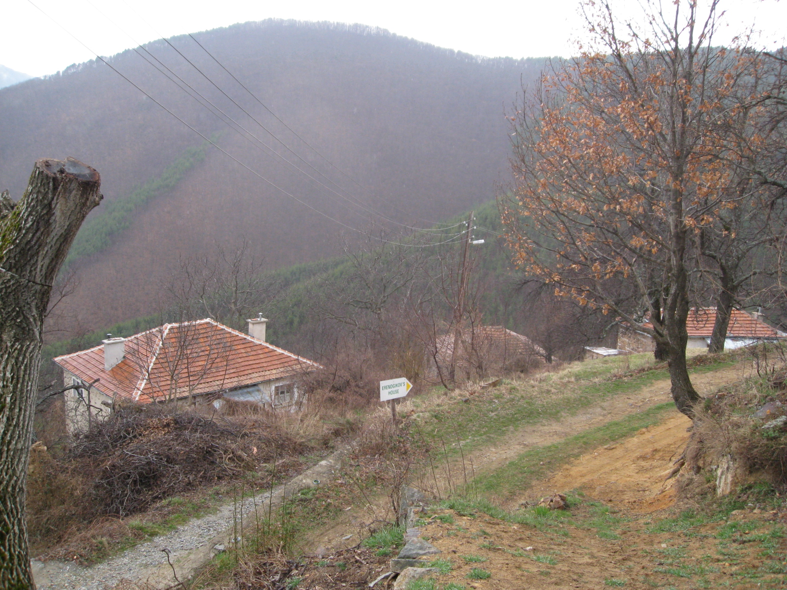 Krastatica-2011-03-27-29 046