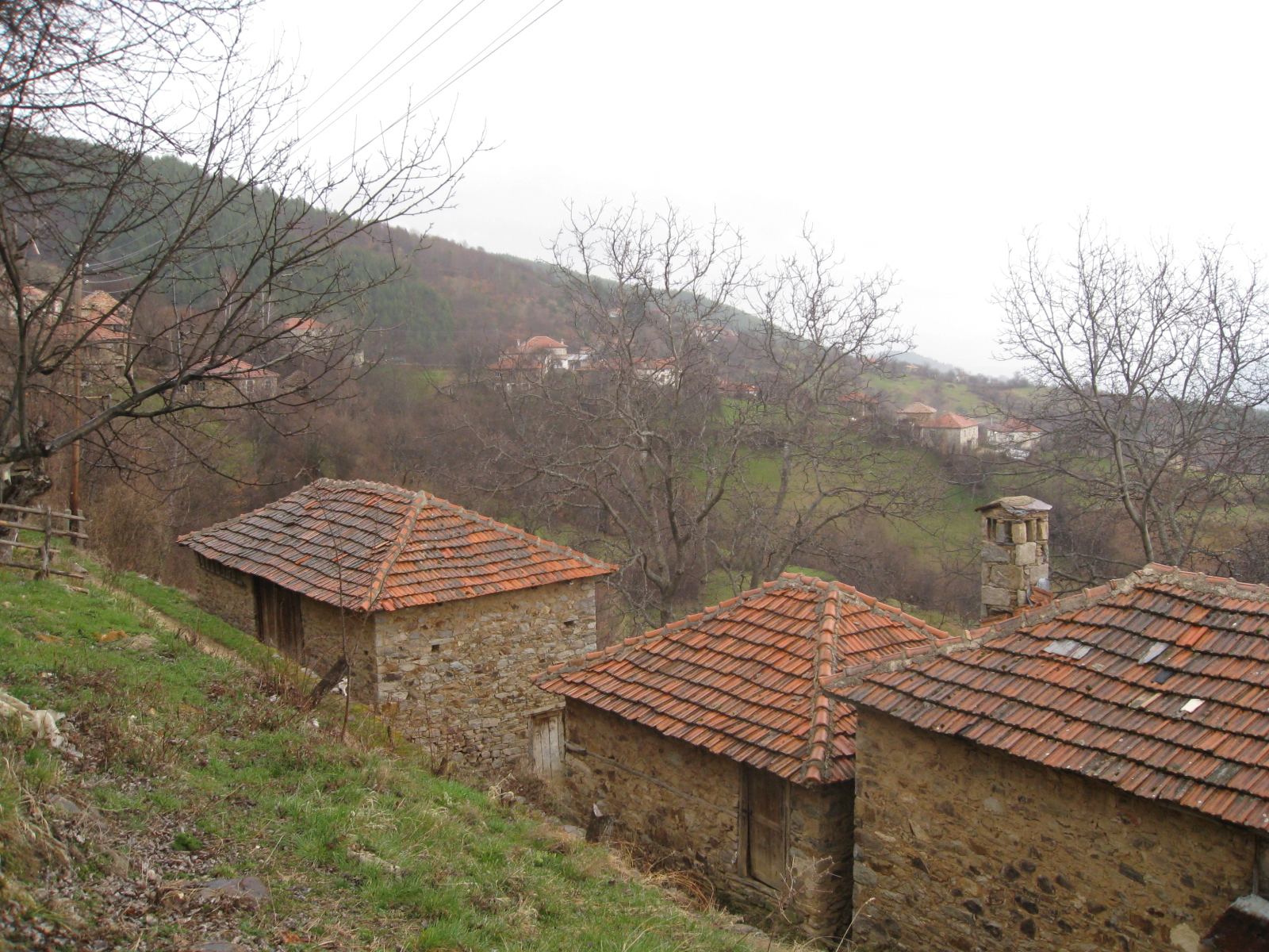 Krastatica-2011-03-27-29 047