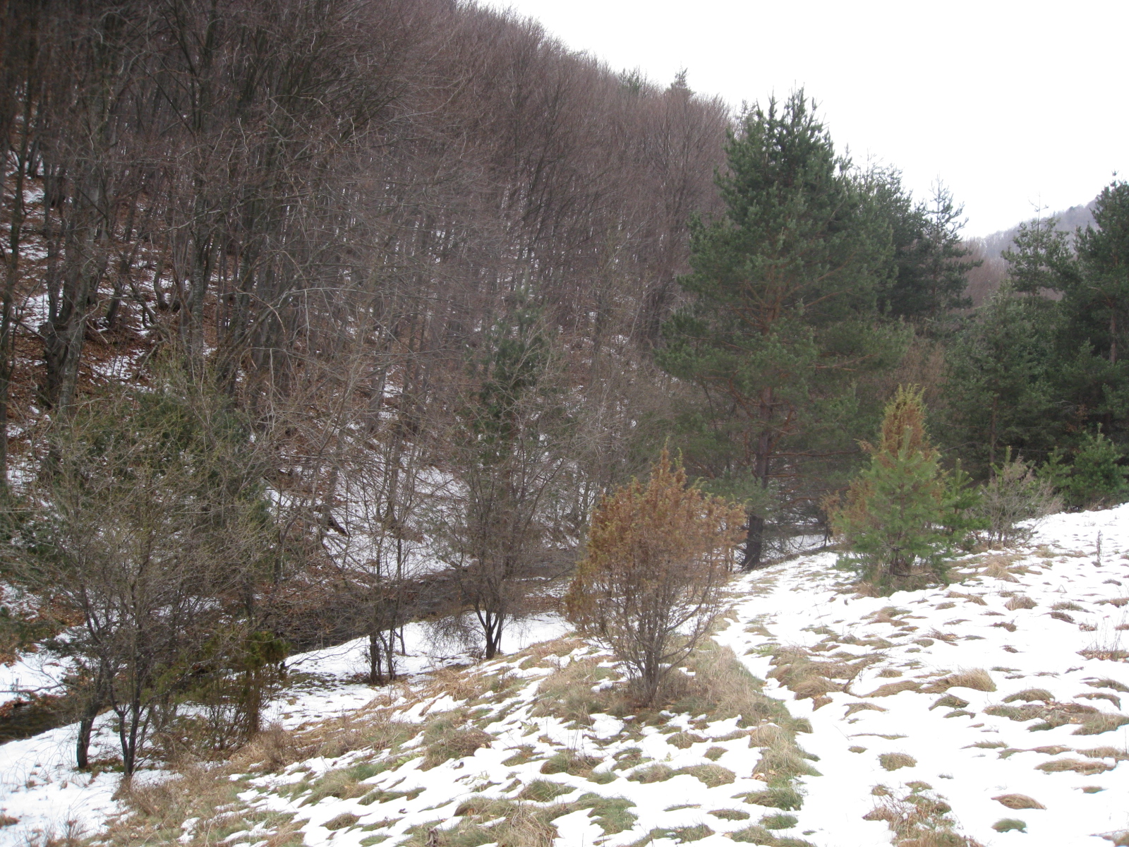 2011-04-16-Zdravec-Dobralak-Narechen 017