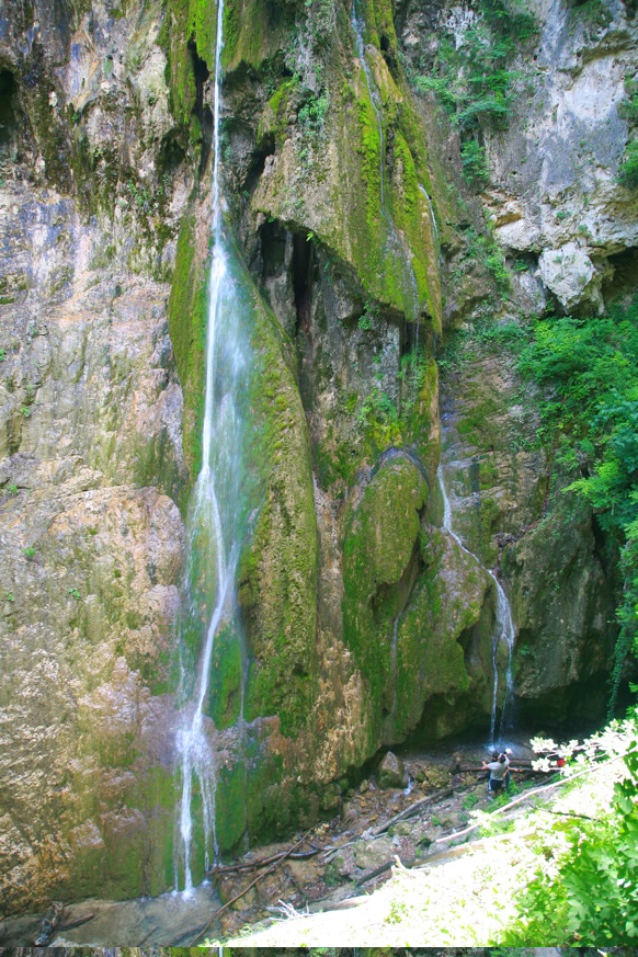 d-2442.JPG