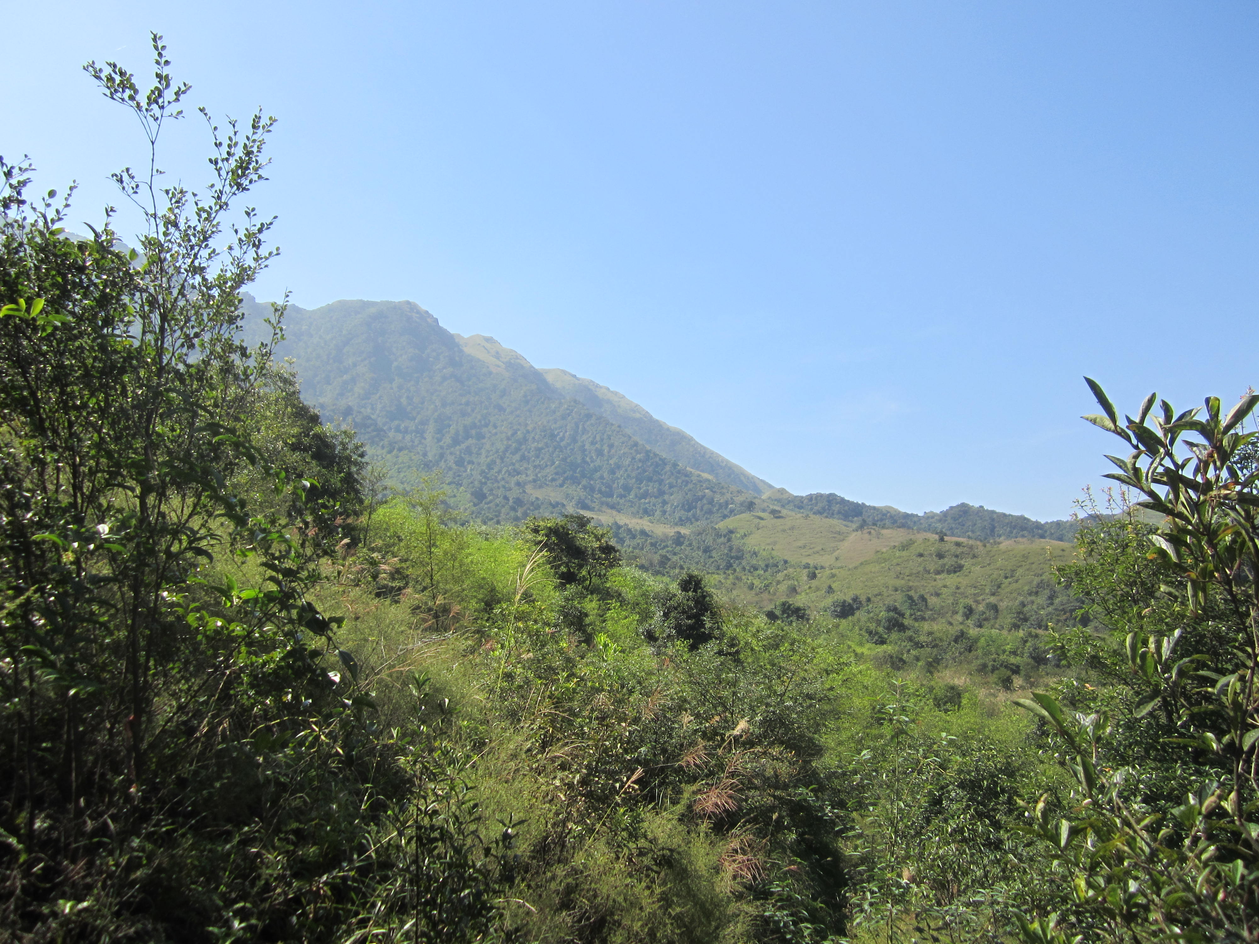 Поляните Сядонг, поглед към връх Гаоджан - Xiadong grassland- view to Gaozhang peak