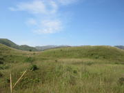 Поляните Сядонг - Xiadong grassland