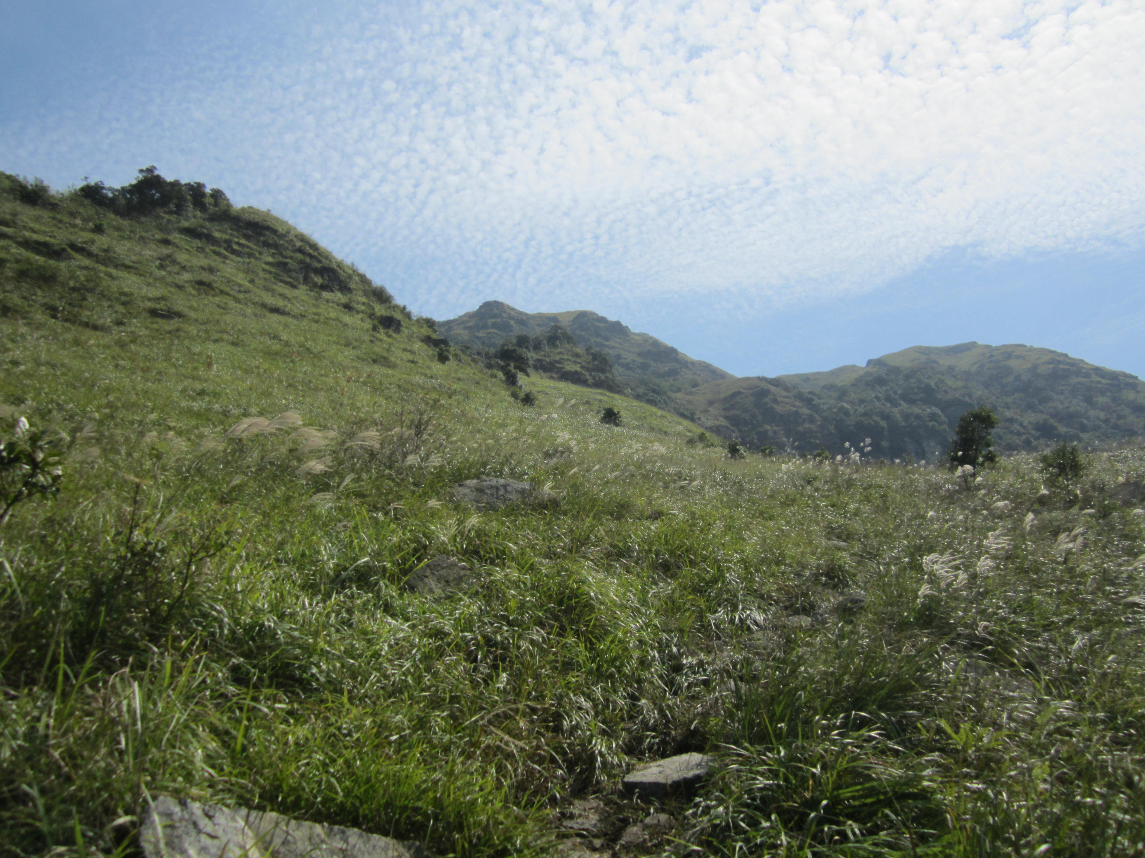 Нагоре към връх Гаоджан - Up to Gaozhang peak