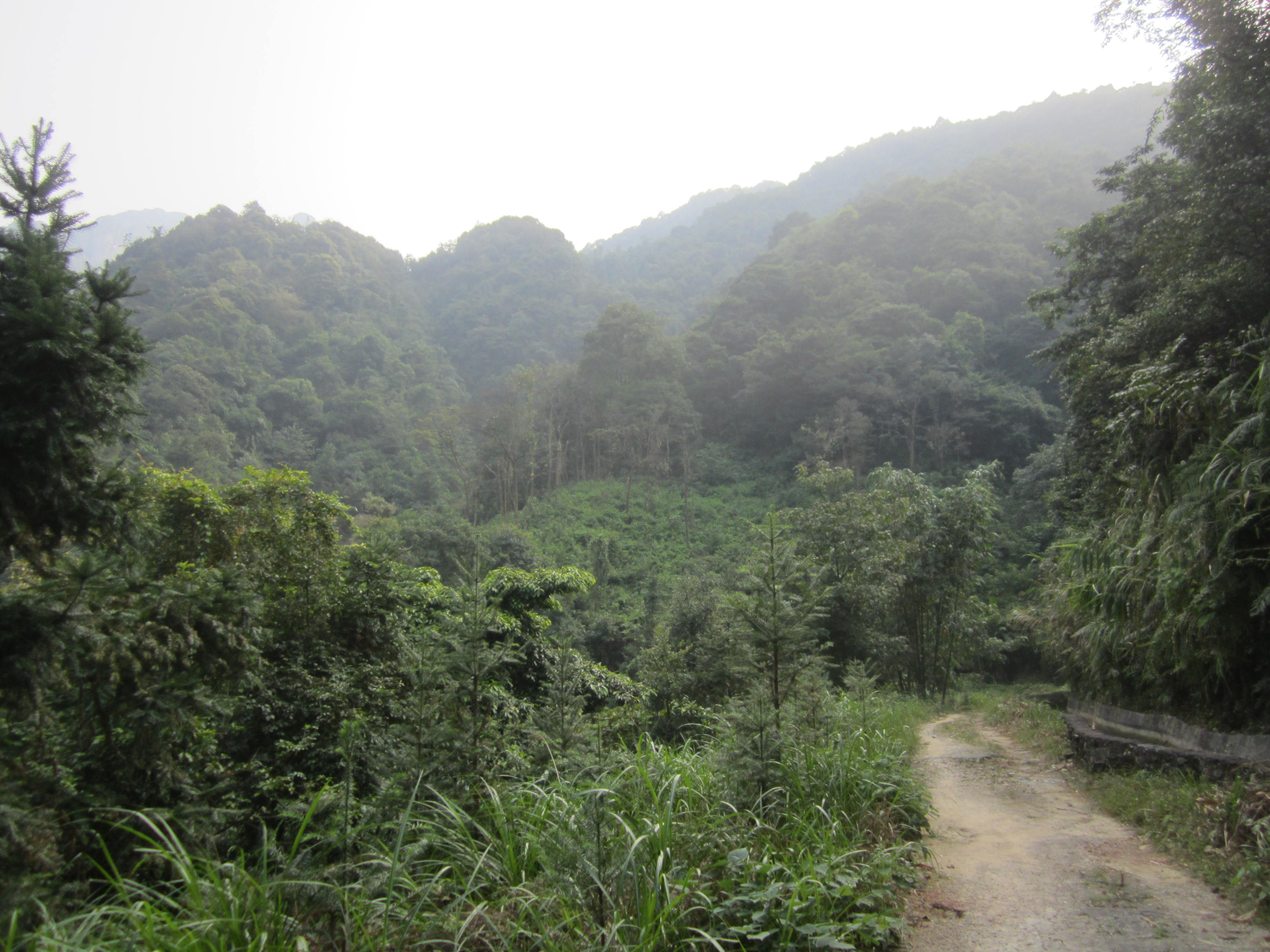 По пътя към село Пинкън - On the path to Pingkeng village