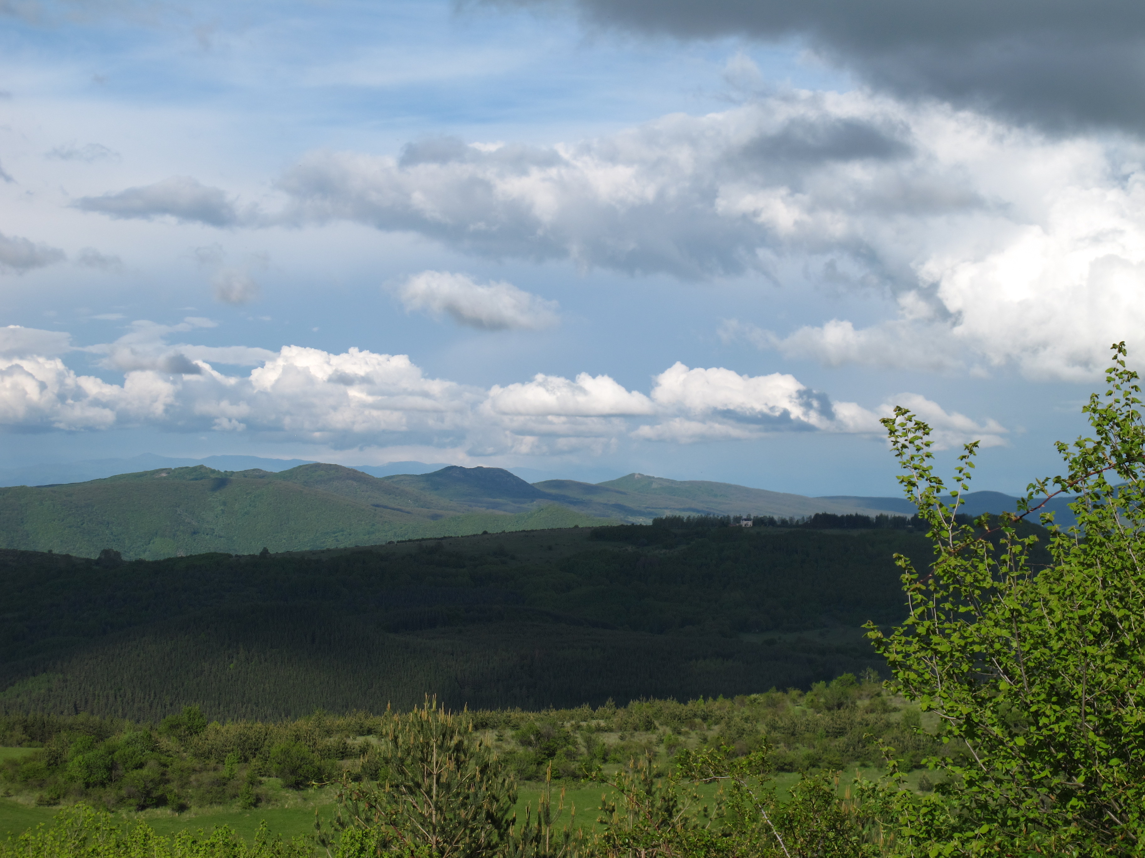 IMG_6996
