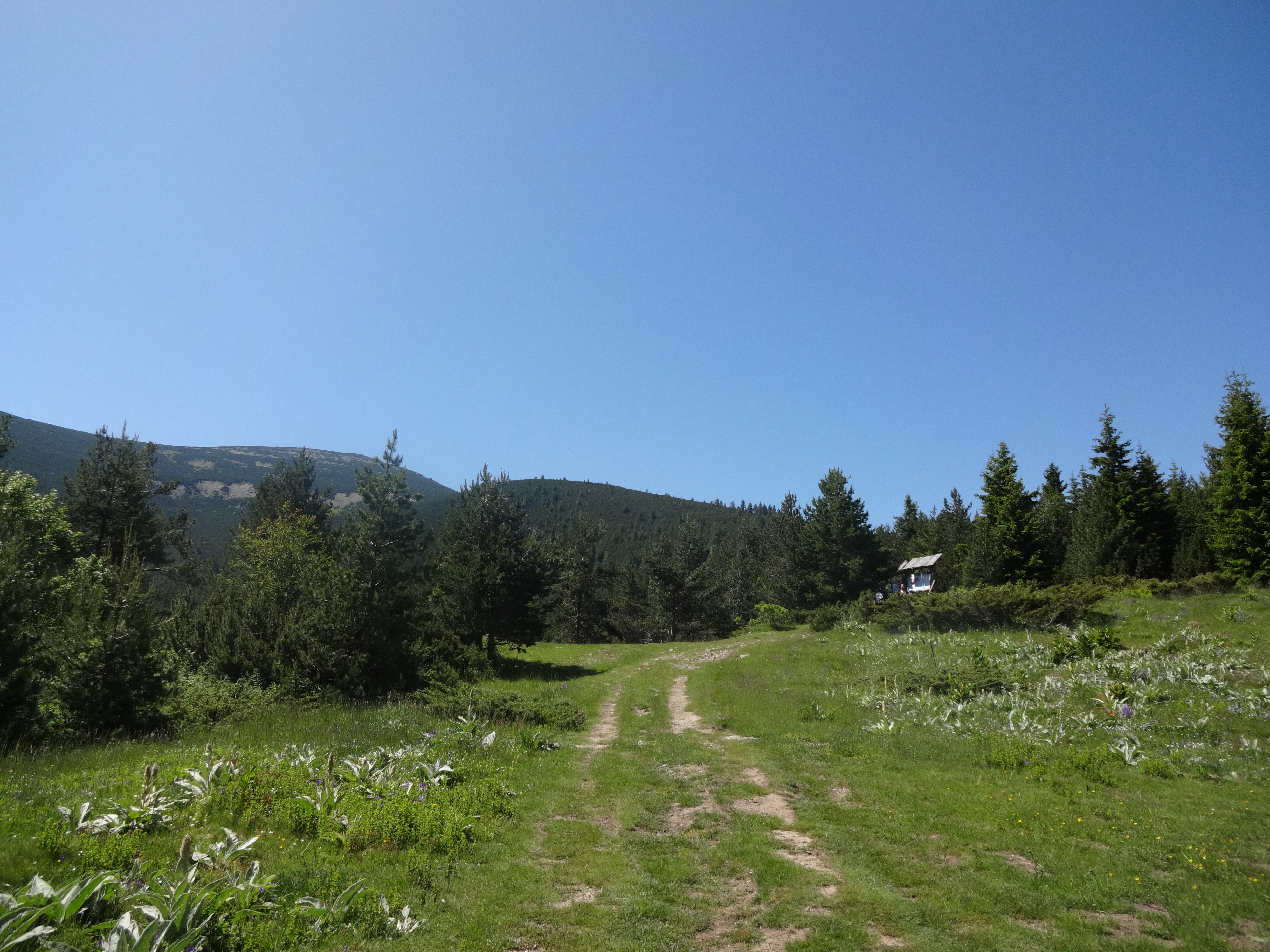 DSC01802