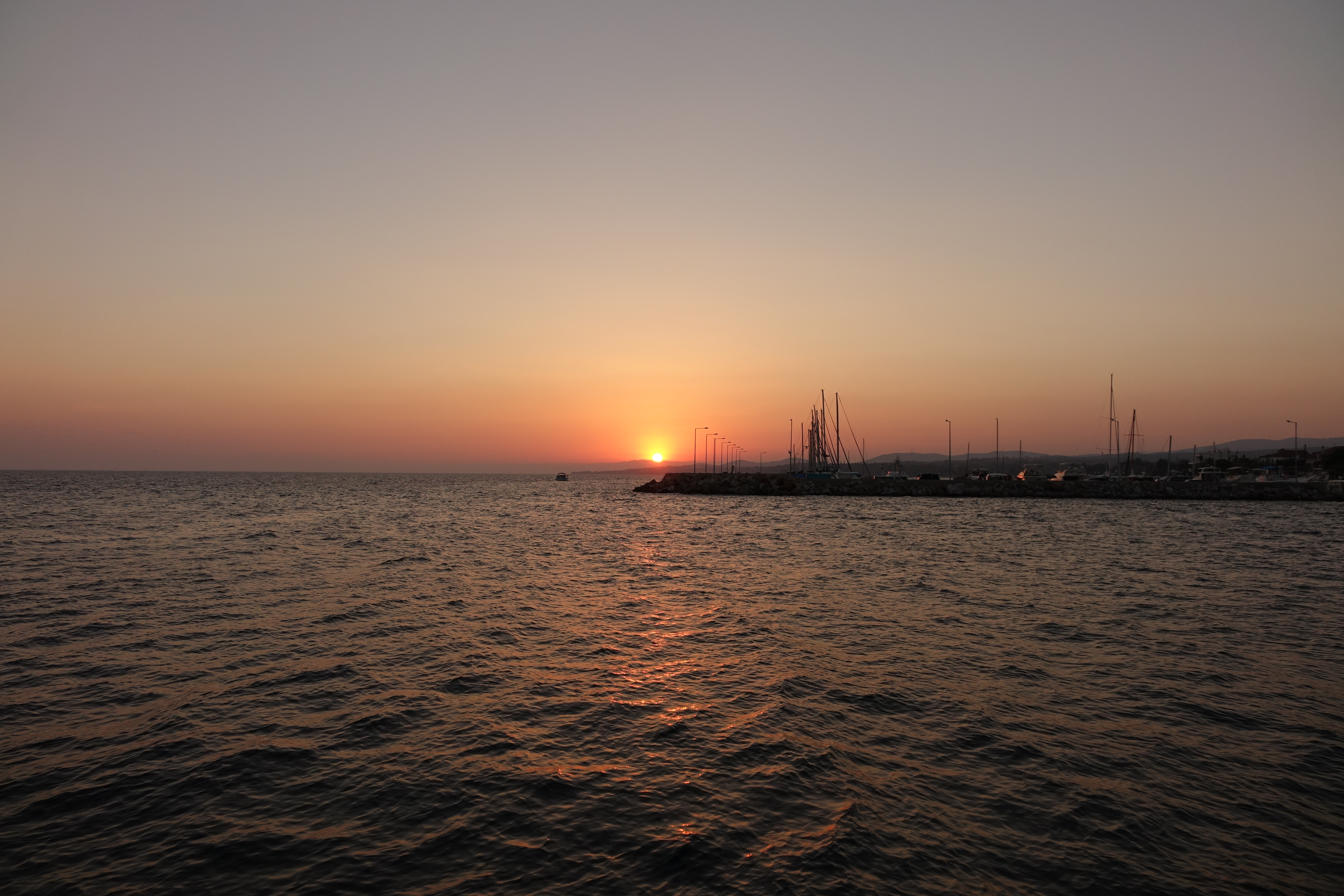 DSC00455