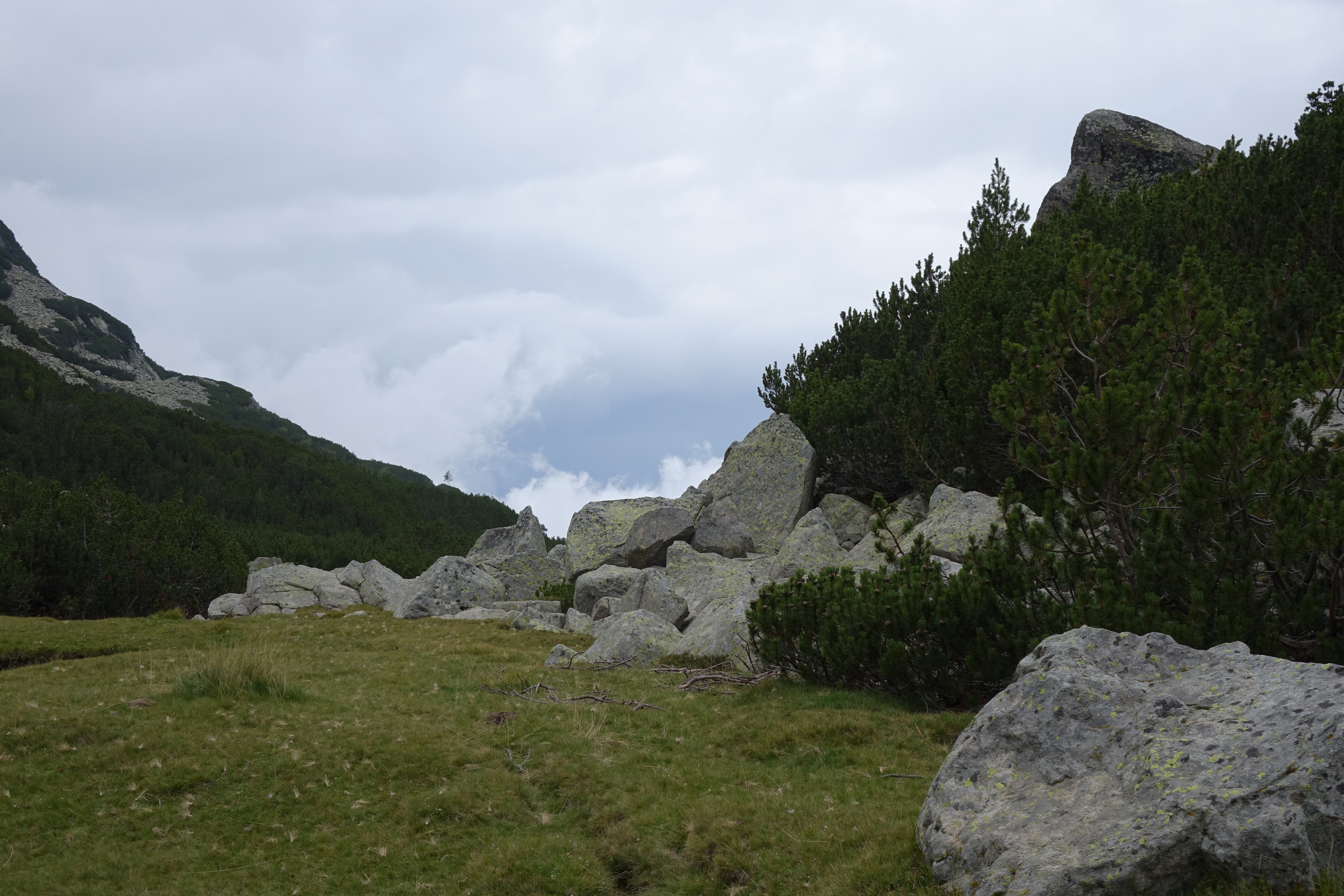 DSC00875