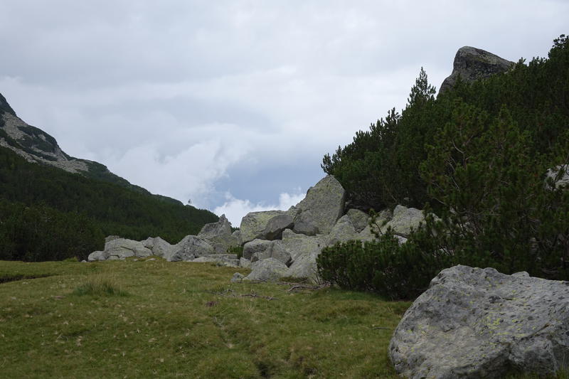 DSC00875