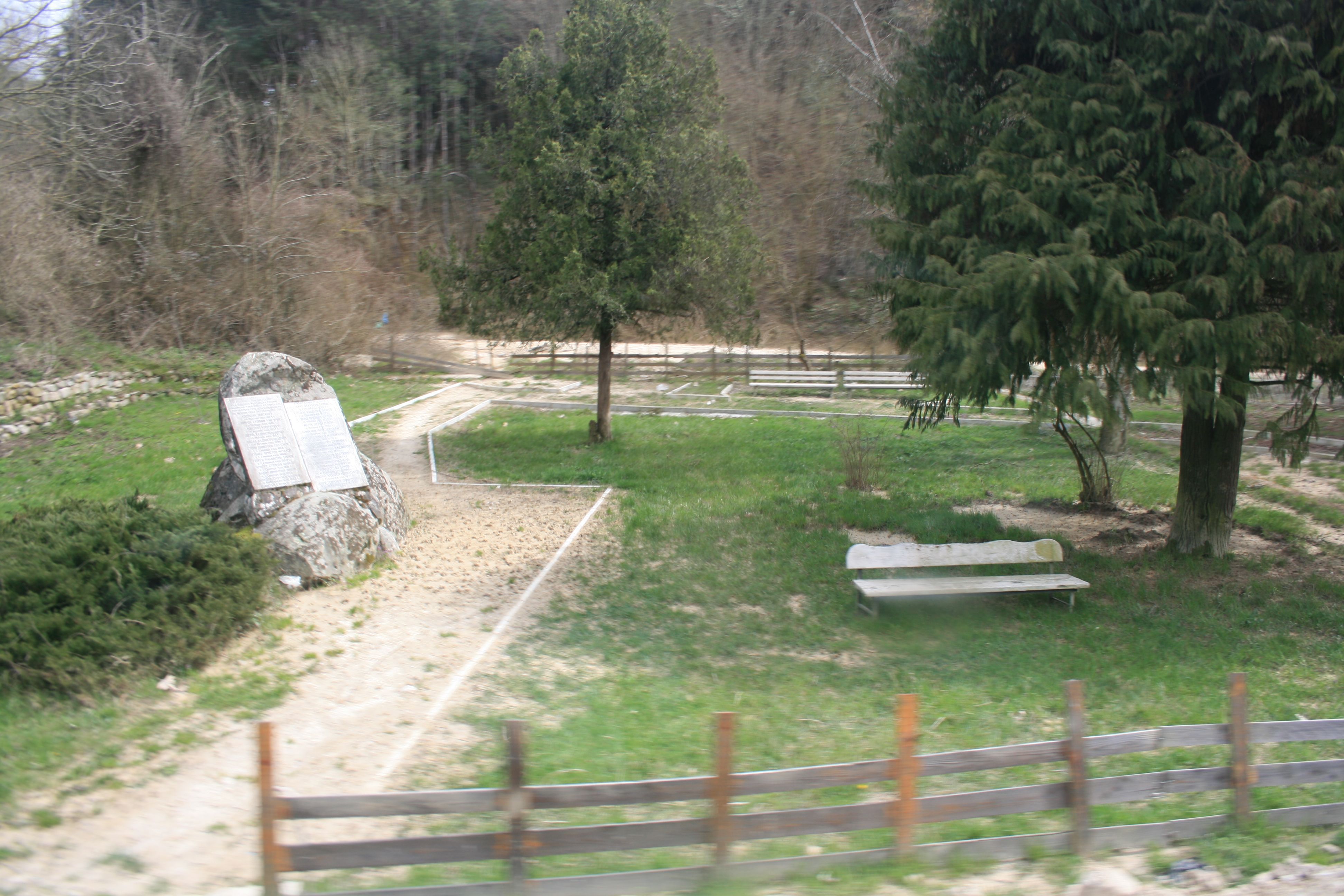 IMG_1982.JPG