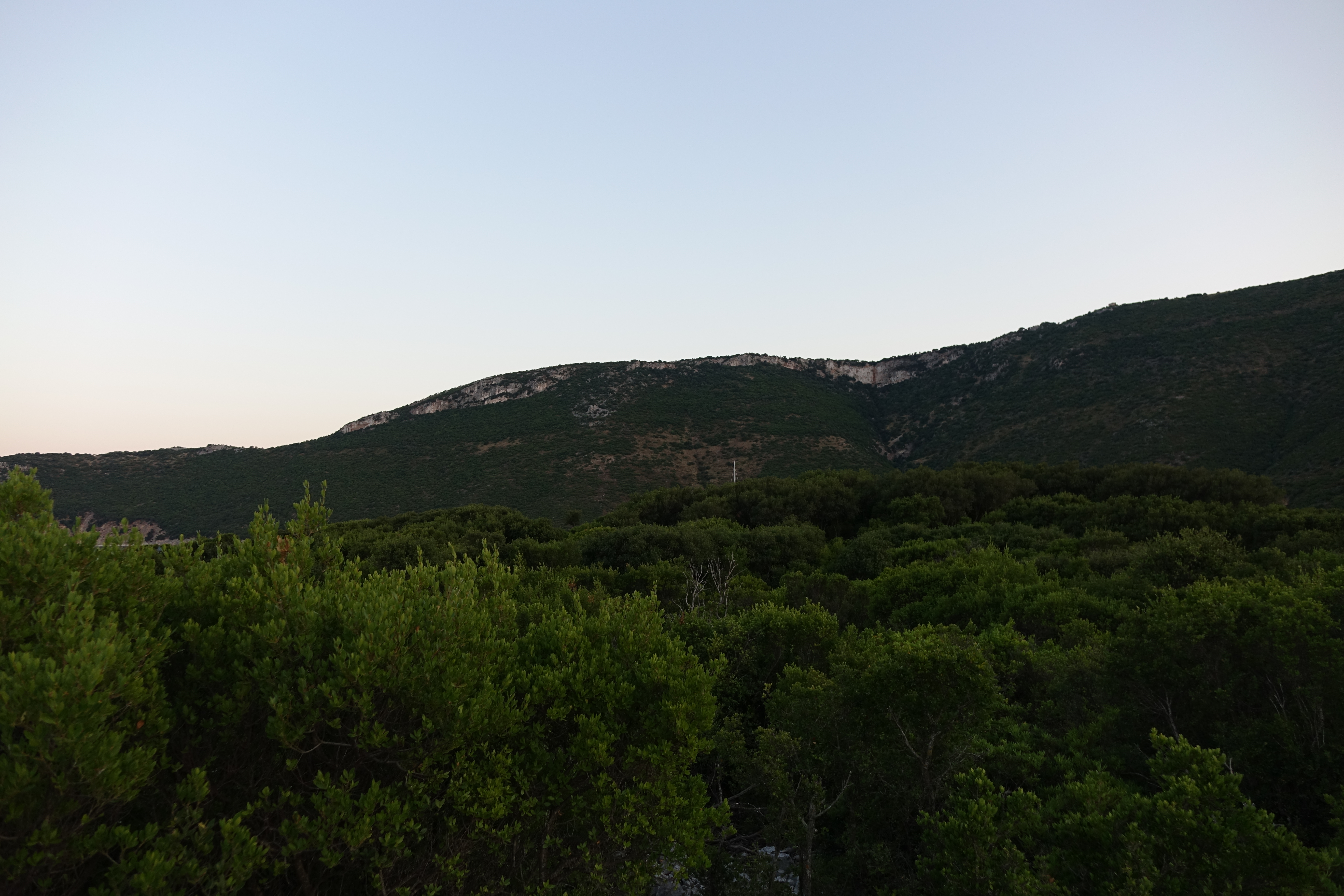 DSC00449
