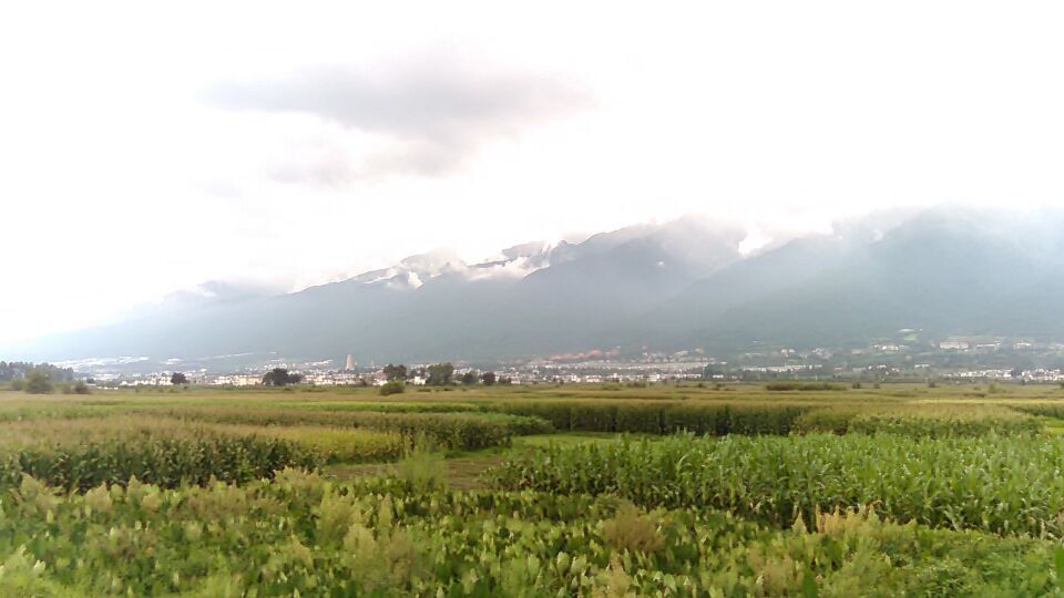 Dali (altitude 1950 m); 17.08.2015 Walk to Erhai lake