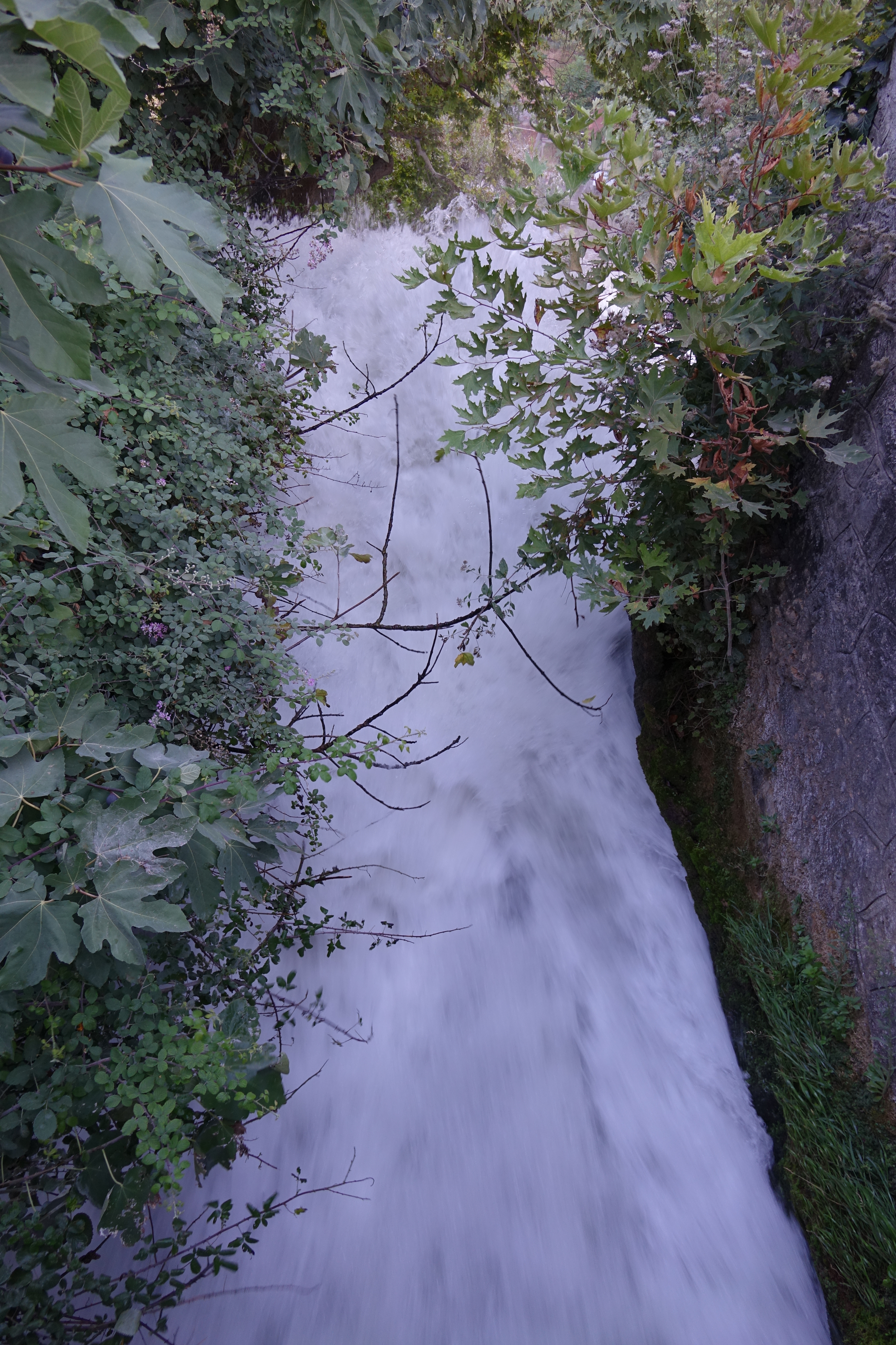 DSC01403