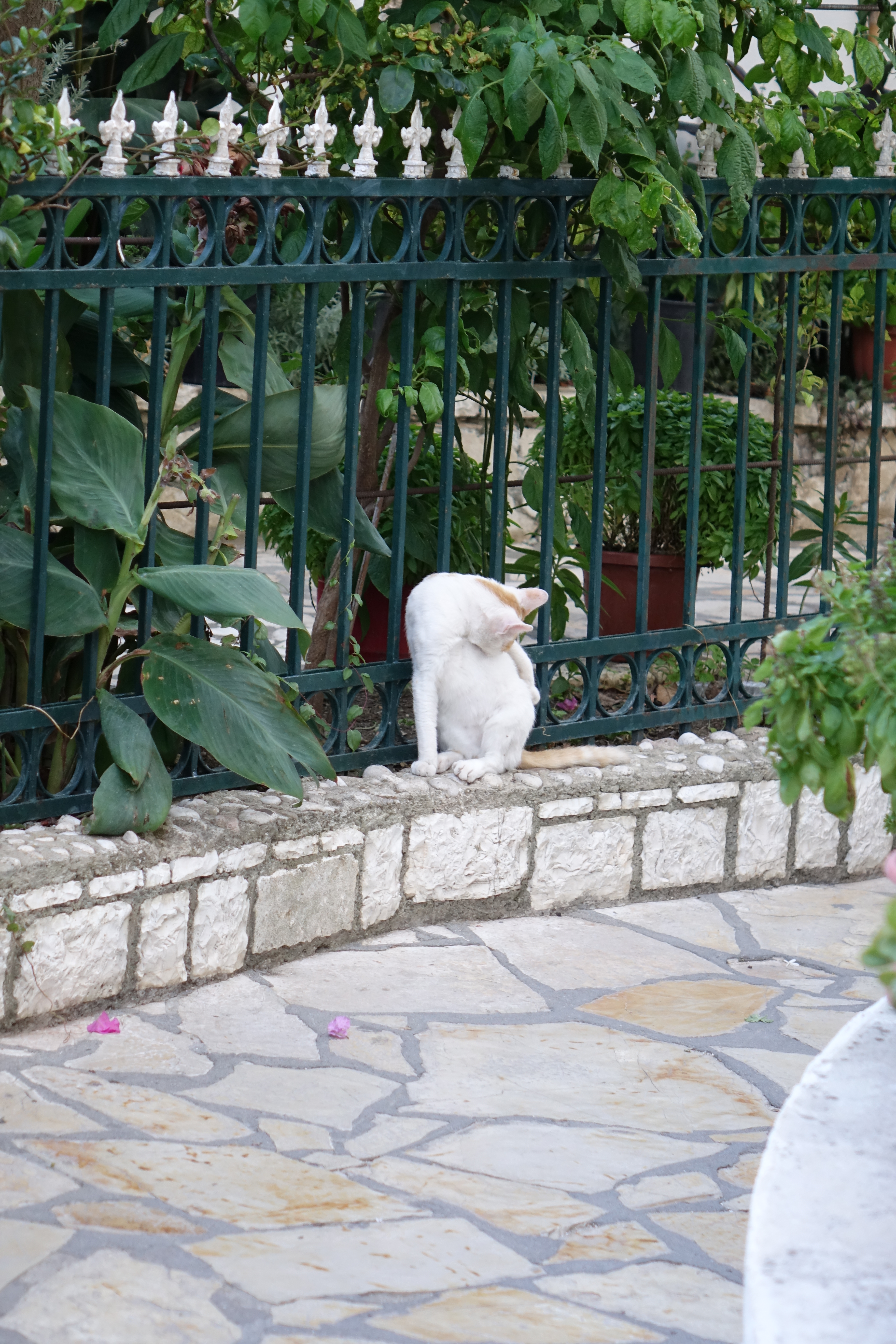 DSC01288