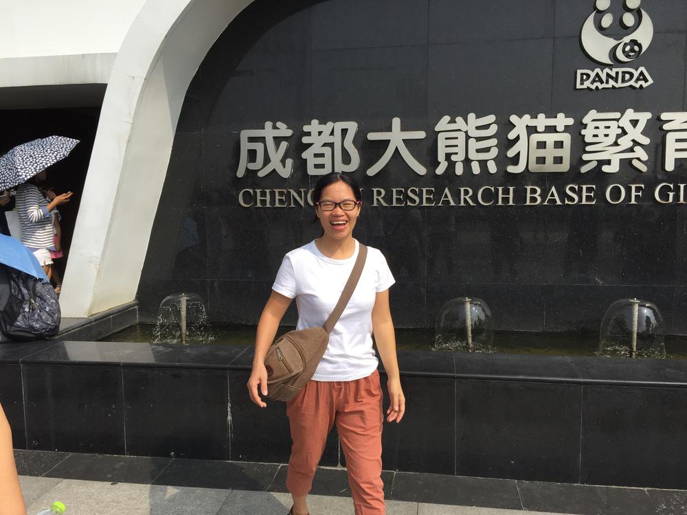 Chengdu (成都): в Изследователския център на пандата