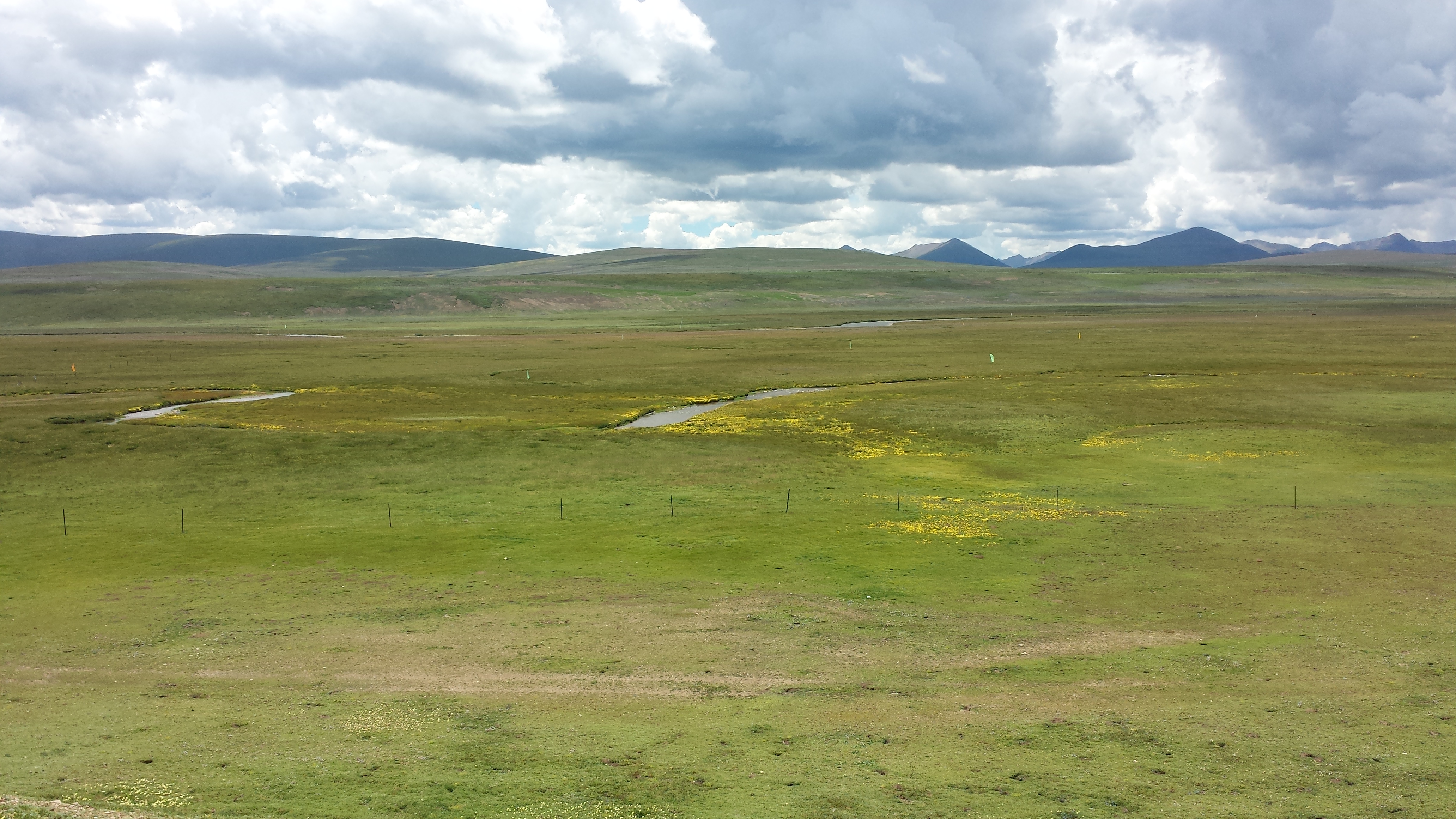 По пътя от Serxu (石渠，སེར་ཤུལ།) до Yushu (玉树，ཡུལ་ཤུལ་གྲོང་ཁྱེར།), на 4350 м височина 