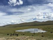 По пътя от Yushu (玉树，ཡུལ་ཤུལ་གྲོང་ཁྱེར།) до Madoi (玛多，རྨ་སྟོད་རྫོང), през високите степи, на 4600 м височина