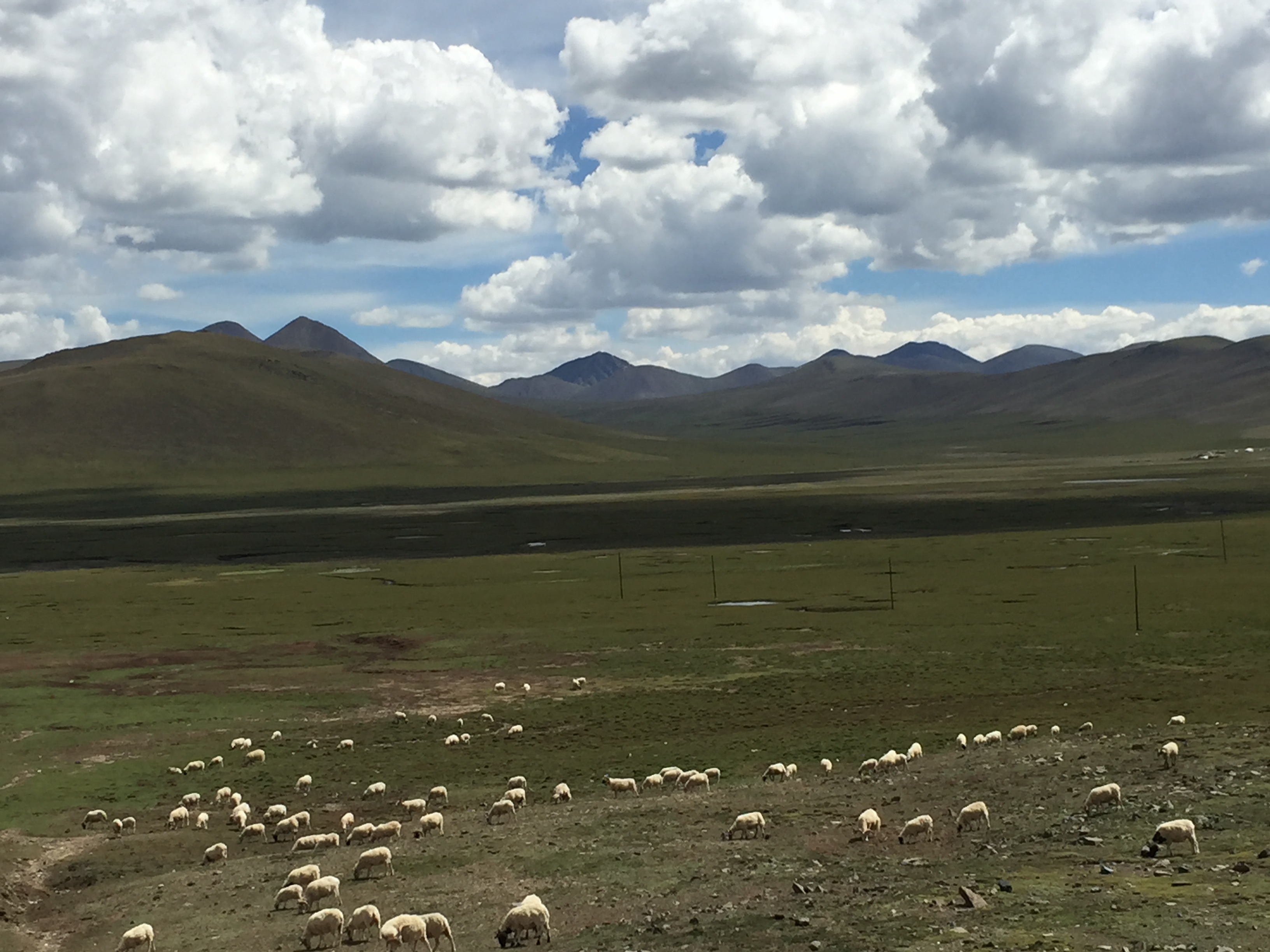 По пътя от Yushu (玉树，ཡུལ་ཤུལ་གྲོང་ཁྱེར།) до Madoi (玛多，རྨ་སྟོད་རྫོང), през високите степи, на 4550 м височина