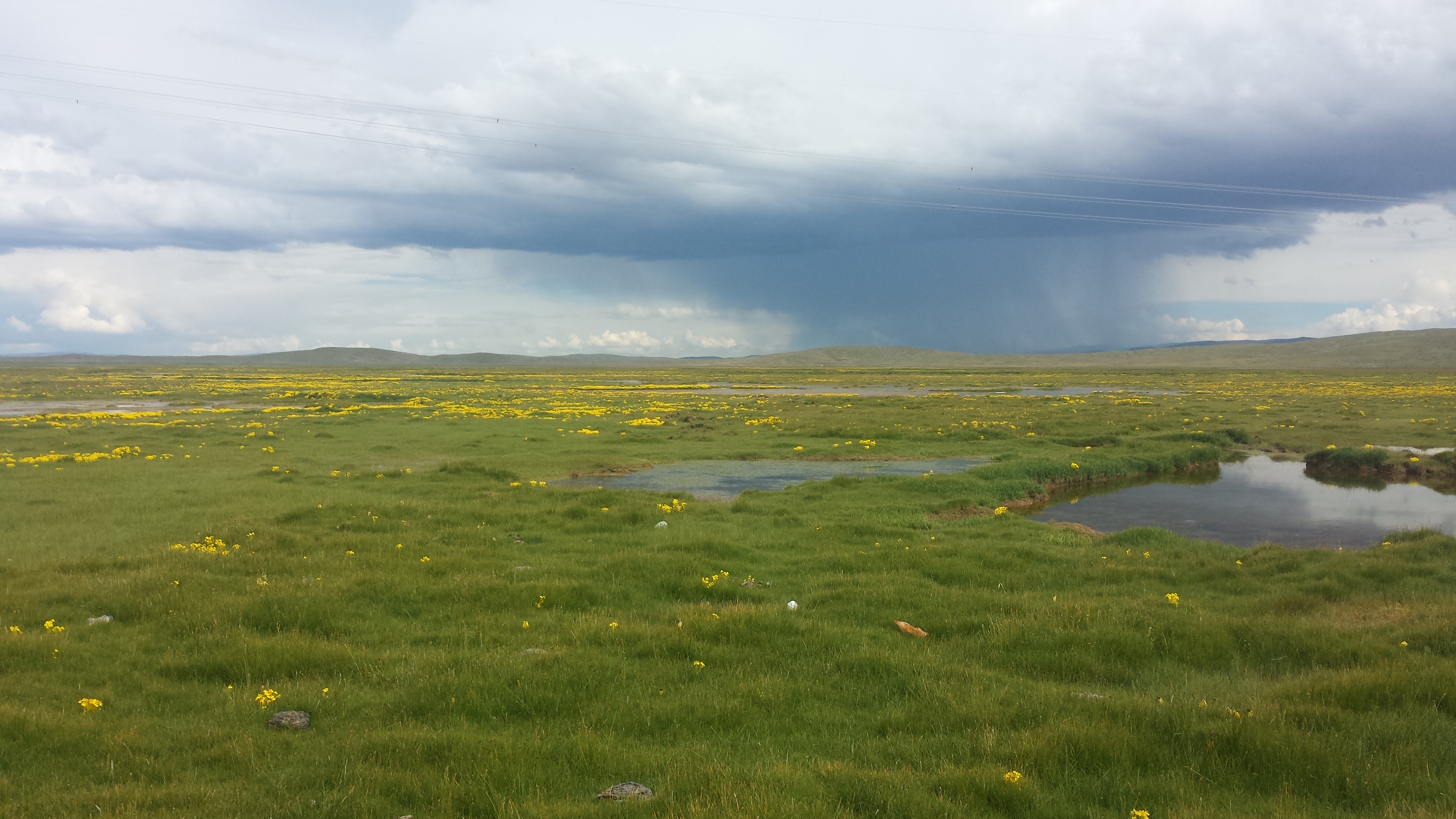 По пътя от Yushu (玉树，ཡུལ་ཤུལ་གྲོང་ཁྱེར།) до Madoi (玛多，རྨ་སྟོད་རྫོང), на 4450 м височина